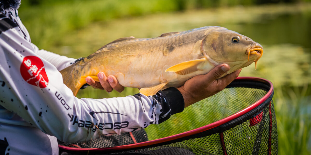 Wprowadzenie do Method Feeder