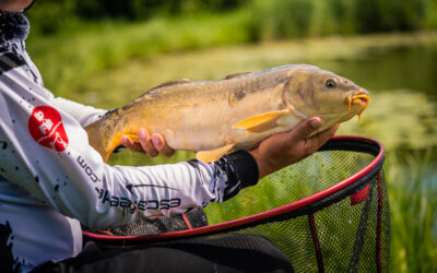 Wprowadzenie do Method Feeder