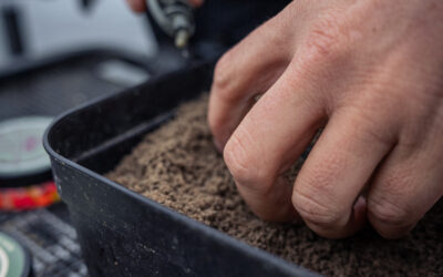 Zimowy method feeder