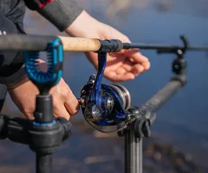 Method feeder dla każdego – wprowadzenie